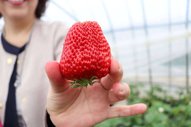 茨城グルメをぐるっと堪能！たびらいコラボバスツアー体験レポート