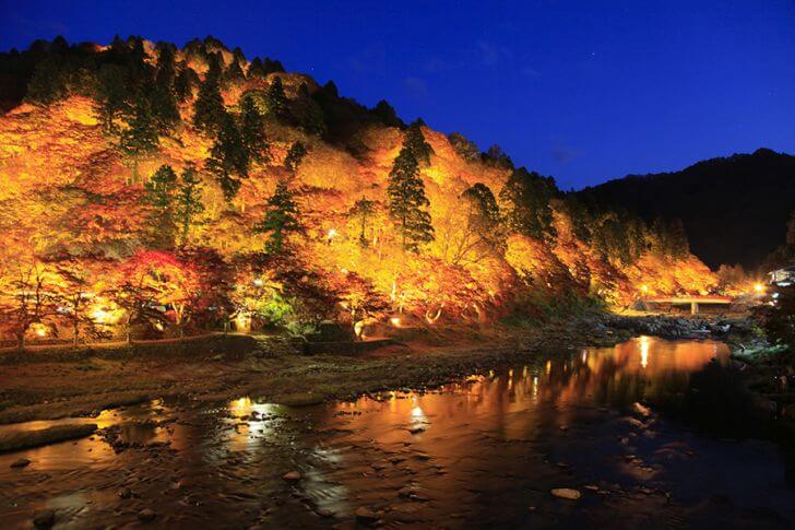 紅葉ライトアップは必見！愛知・香嵐渓で秋本番のもみじ狩り