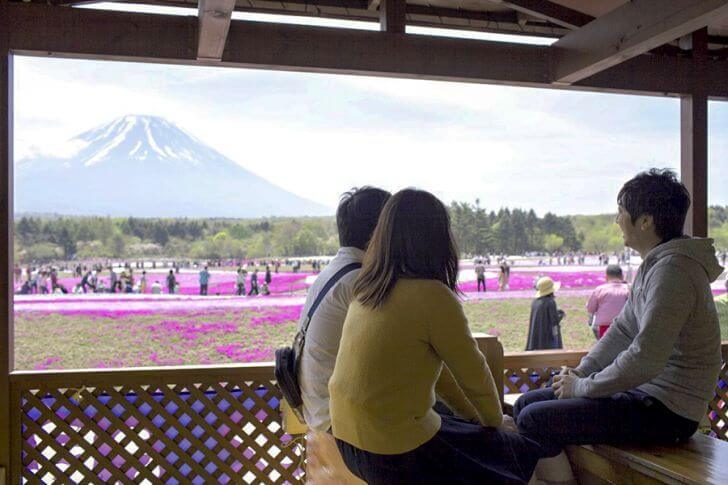 展望足湯。お花と富士山と足湯で気持ちもなごみます。