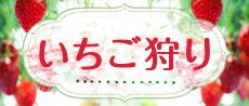 いちご狩り