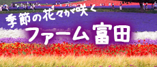 ファーム富田