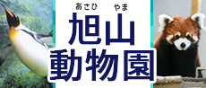 旭山動物園