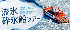 流氷クルーズ