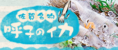 呼子イカ