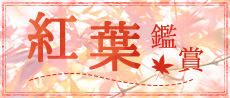 紅葉鑑賞