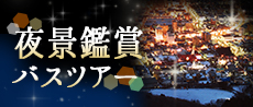 夜景鑑賞
