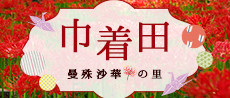 巾着田(曼珠沙華）