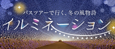 イルミネーション観賞