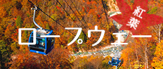 紅葉ロープウェー