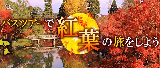 紅葉観賞