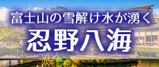 忍野八海