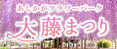 あしかがフラワーパーク