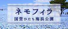 ひたち海浜公園