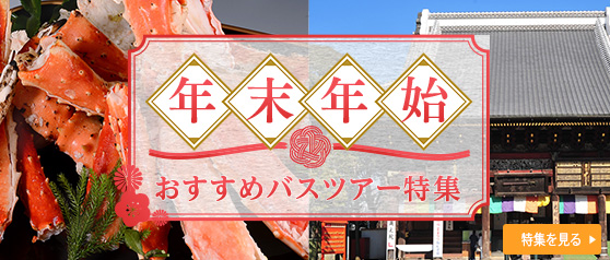 年末年始おすすめバスツアー特集 2025-2026（全国）
