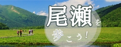 尾瀬ハイキング