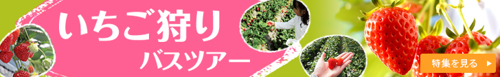 東京発‼いちご狩りバスツアー特集