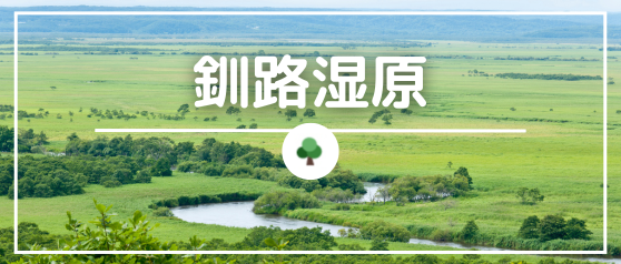 釧路湿原