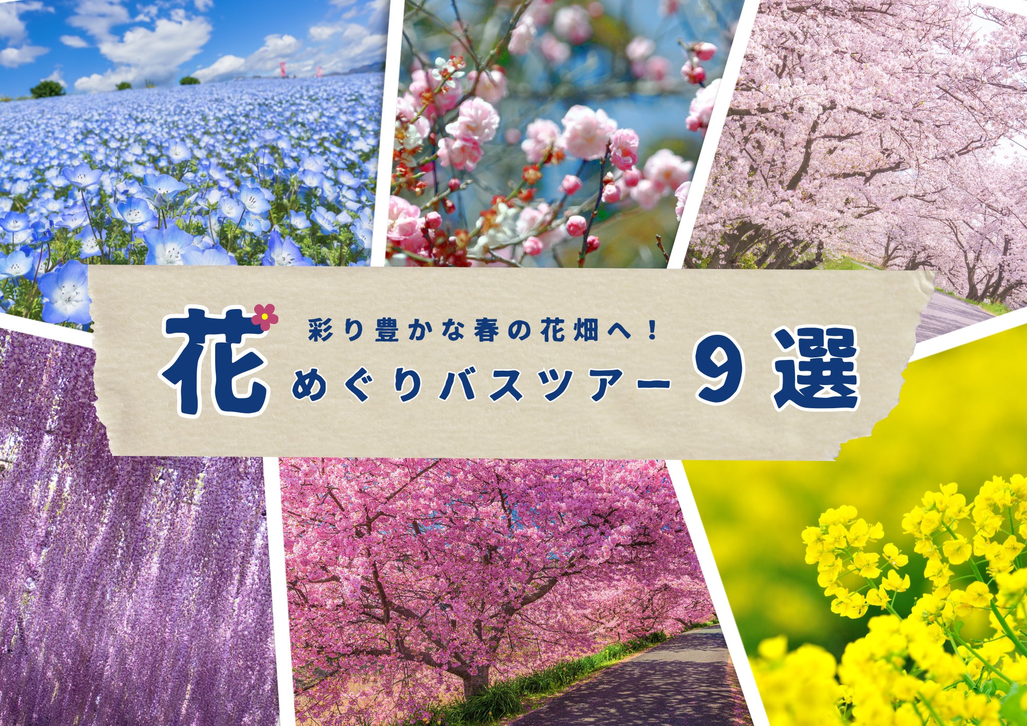 彩り豊かな春の花畑へ！花めぐりバスツアーおすすめ9選