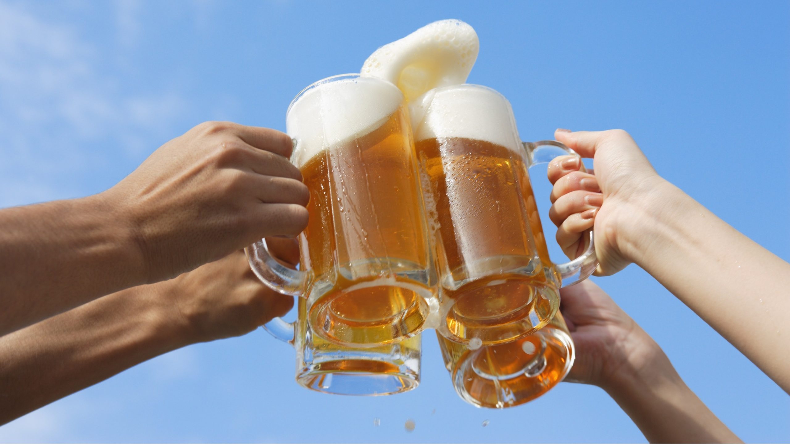 飲み放題付きのプランも