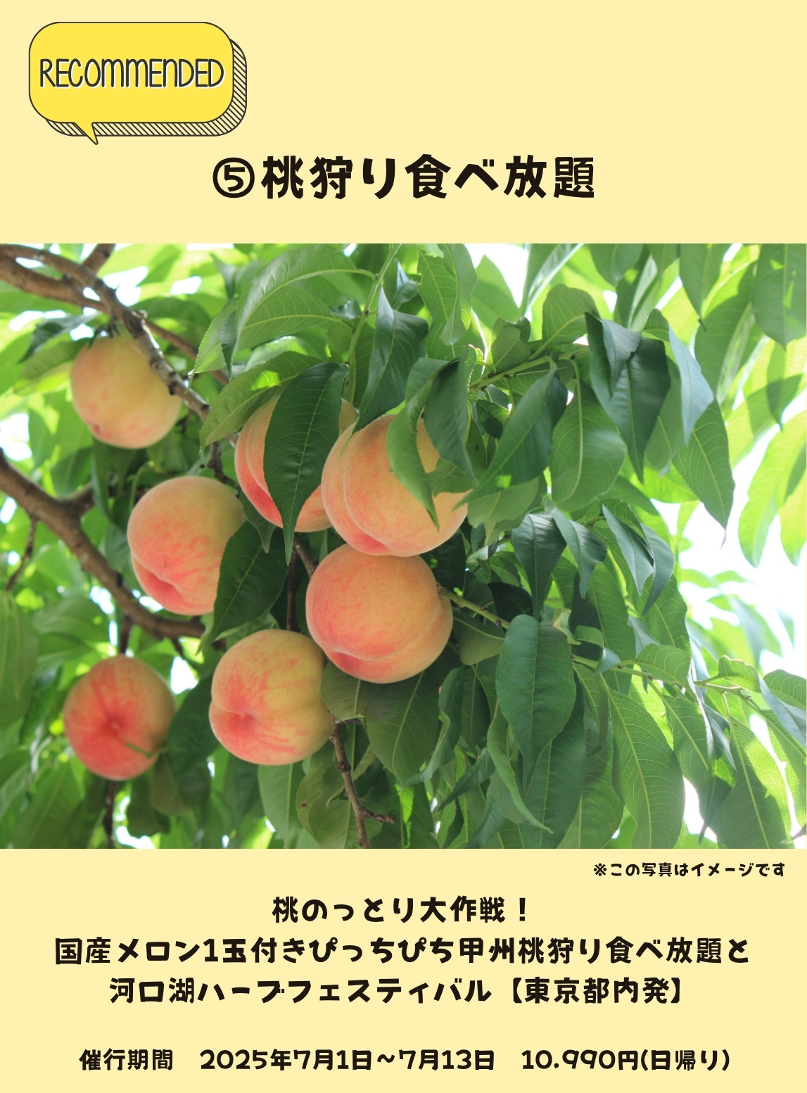 桃狩り