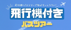 飛行機付きバスツアー