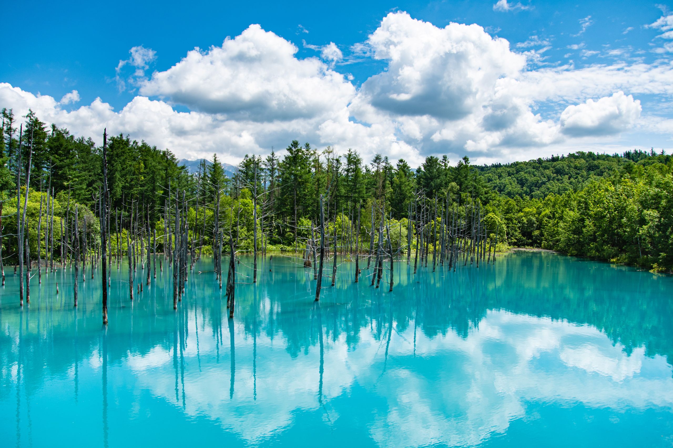 青い池