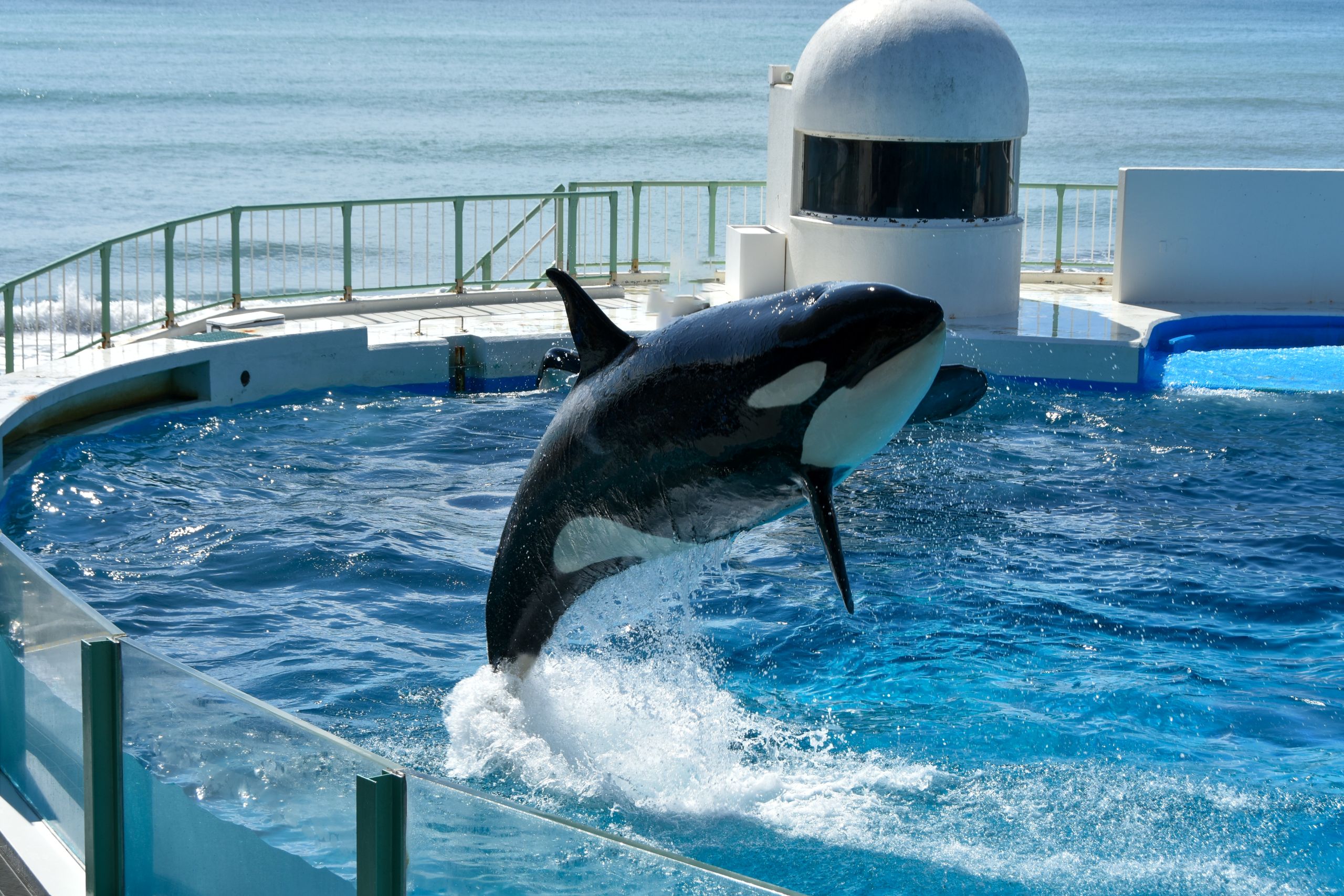 鴨川シーワールド