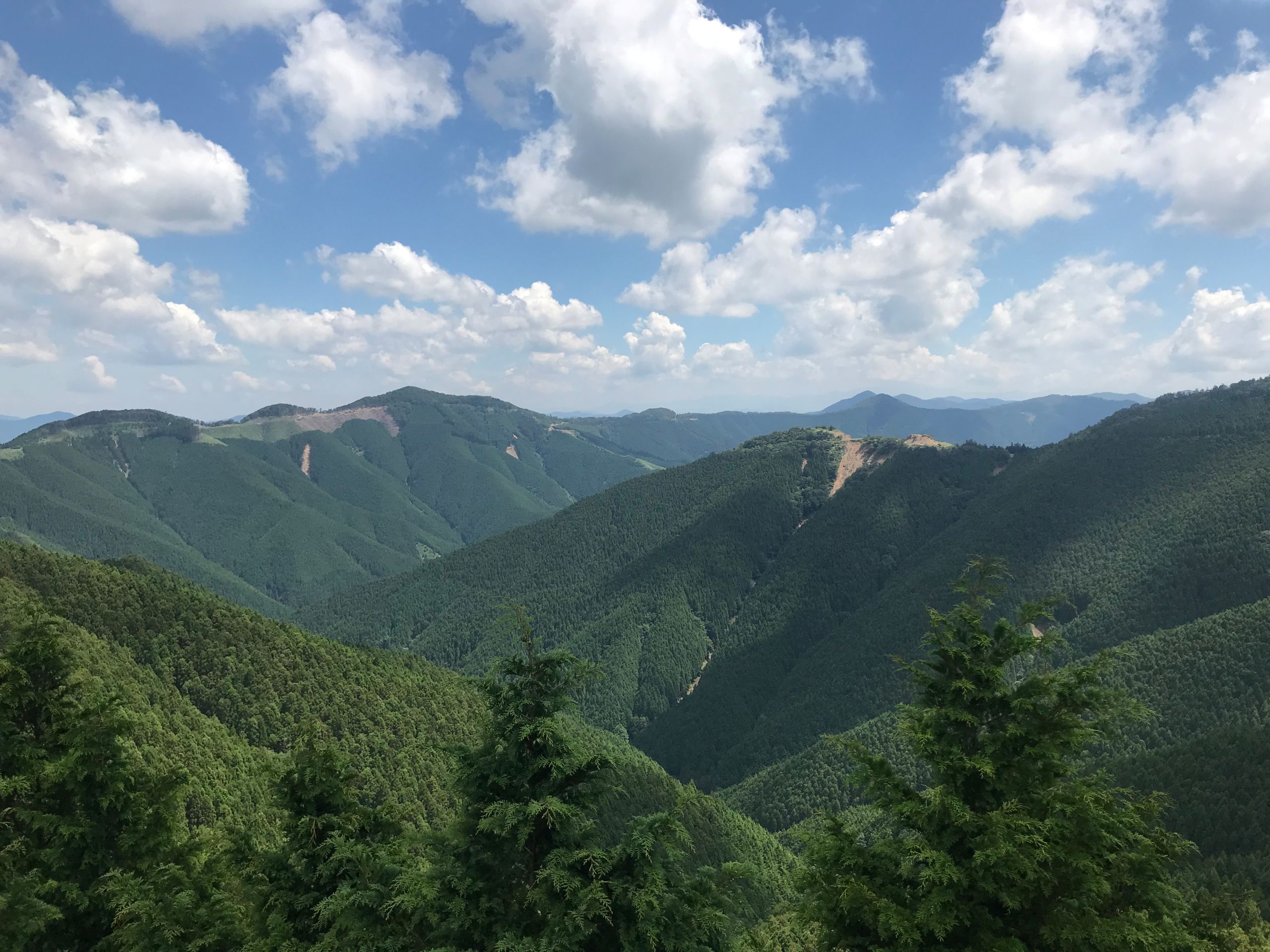 高野山