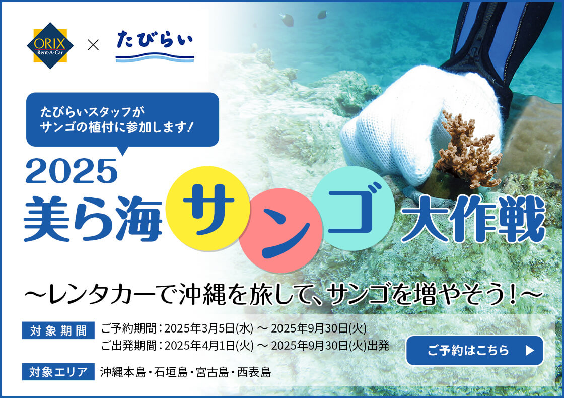 沖縄サンゴキャンペーン