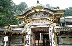 ハイブリッドのコンパクトカータイプも豊富