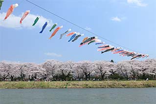 北上市
