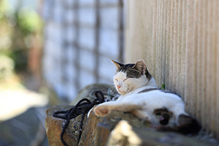 石巻駅外観写真