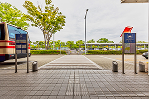 8.正面の横断歩道を渡ります。