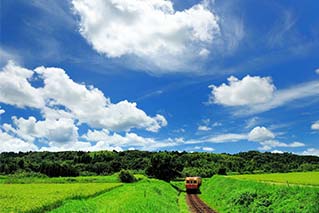 市原市