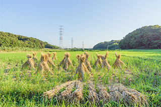 四街道市