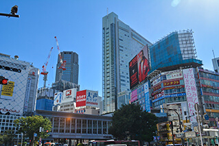 渋谷・目黒・世田谷