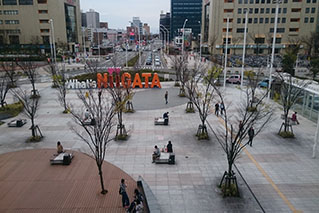 新潟市内でレンタカーを借りるならたびらいが便利