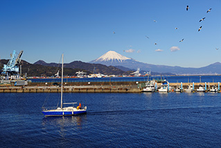 清水駅外観写真