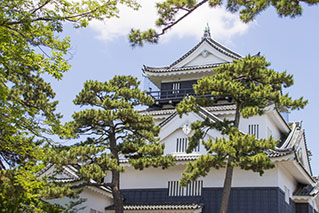 愛知中部（岡崎・豊田・安城）でレンタカーを借りるならたびらいが便利