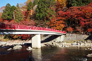 豊田市