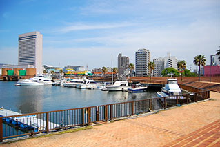 大阪南部（堺・岸和田・泉佐野）でレンタカーを借りるならたびらいが便利