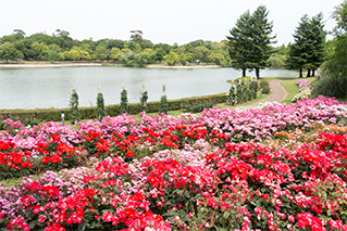 岸和田市