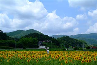 三次市