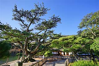 高松市