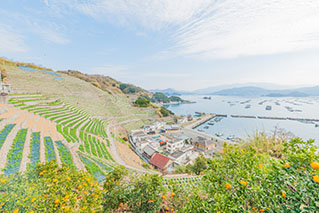 愛媛西部（宇和島・南予）でレンタカーを借りるならたびらいが便利