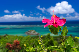 Busena Marine Park