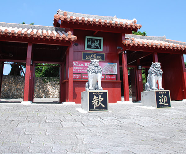 OKINAWA 丸ごとポン！