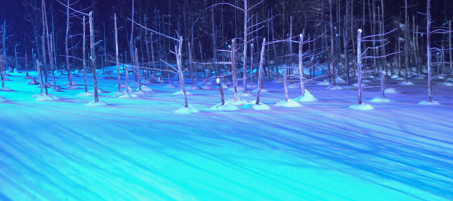 北海道のドライブコース