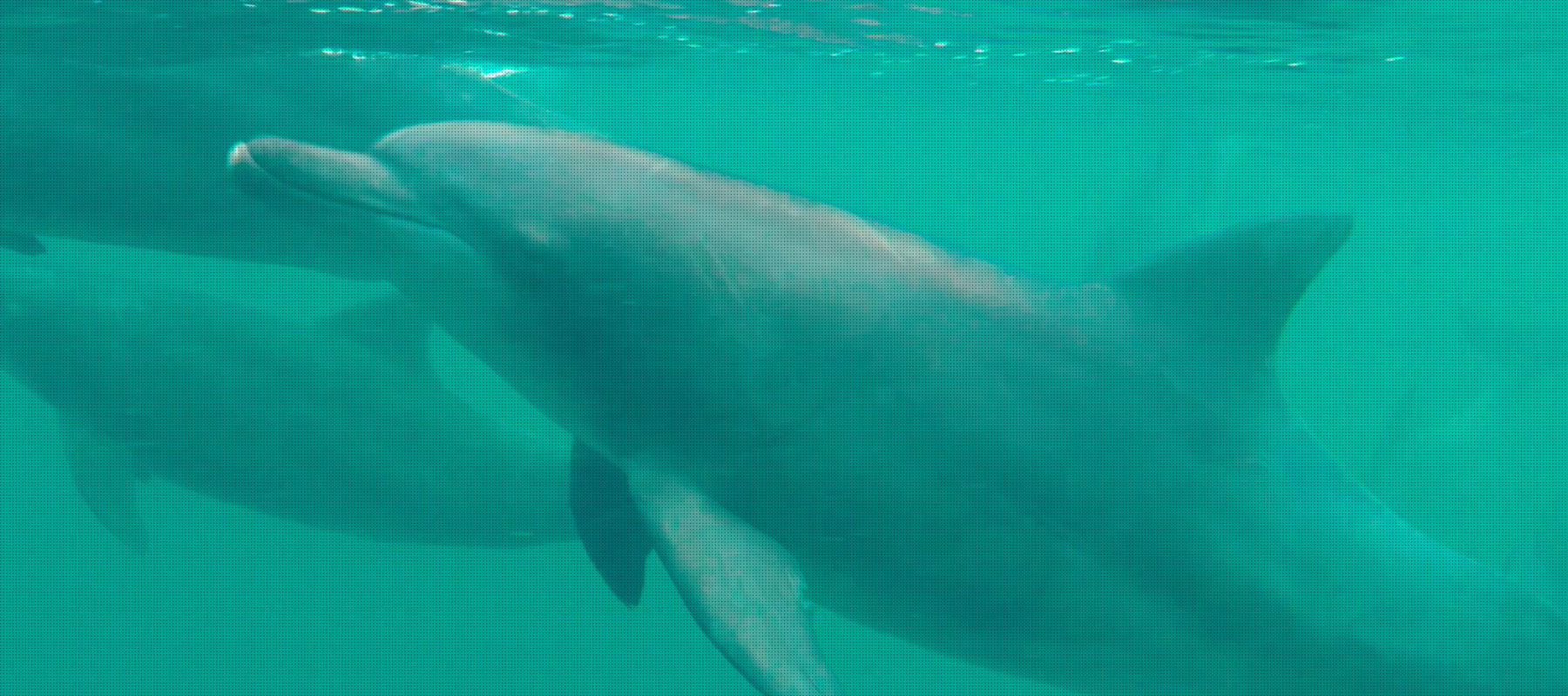 長崎のドライブコース