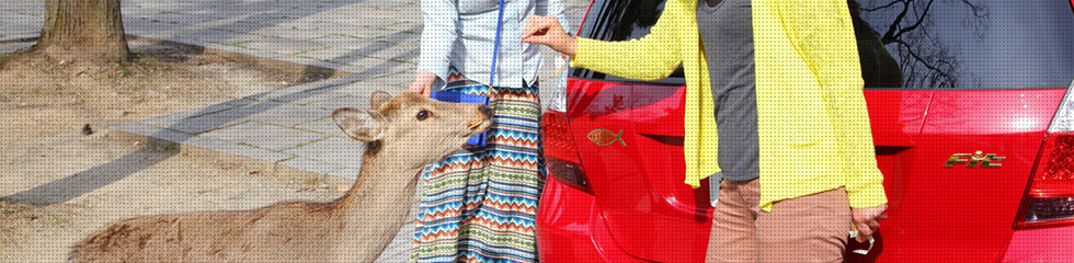 奈良のドライブコース